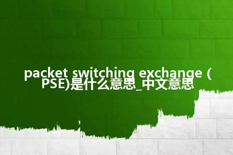 packet switching exchange (PSE)是什么意思_中文意思