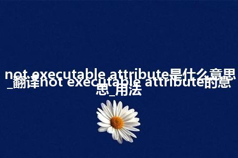 not executable attribute是什么意思_翻译not executable attribute的意思_用法
