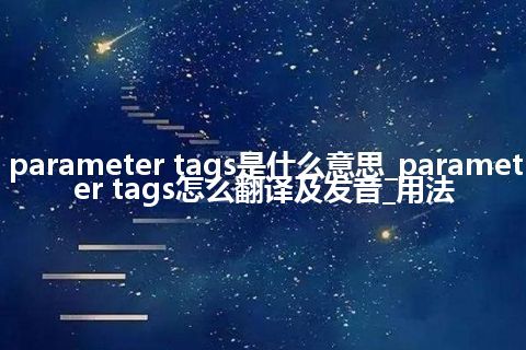 parameter tags是什么意思_parameter tags怎么翻译及发音_用法