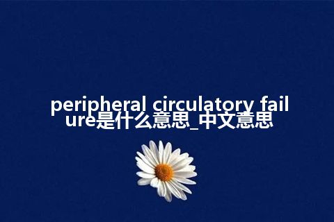 peripheral circulatory failure是什么意思_中文意思