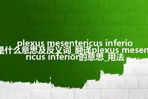 plexus mesentericus inferior是什么意思及反义词_翻译plexus mesentericus inferior的意思_用法