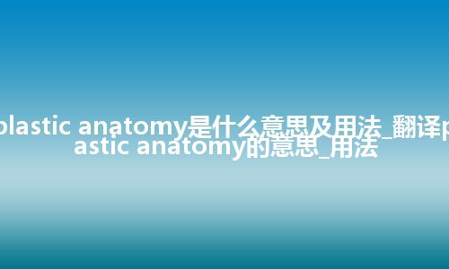 plastic anatomy是什么意思及用法_翻译plastic anatomy的意思_用法
