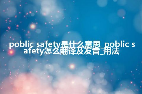 poblic safety是什么意思_poblic safety怎么翻译及发音_用法