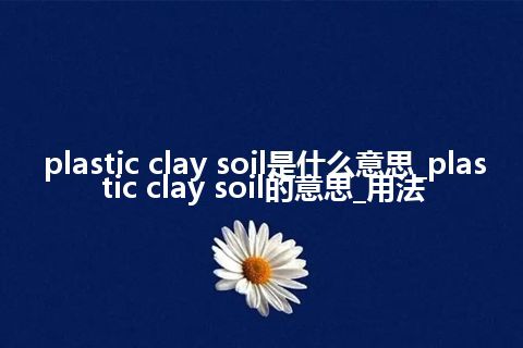 plastic clay soil是什么意思_plastic clay soil的意思_用法
