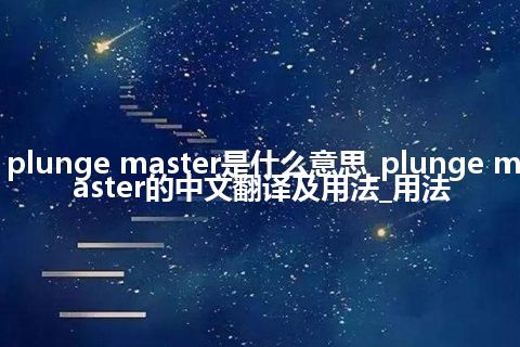 plunge master是什么意思_plunge master的中文翻译及用法_用法