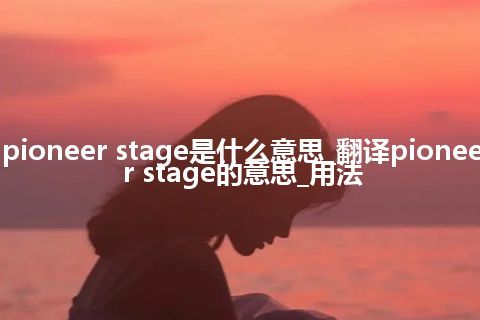 pioneer stage是什么意思_翻译pioneer stage的意思_用法