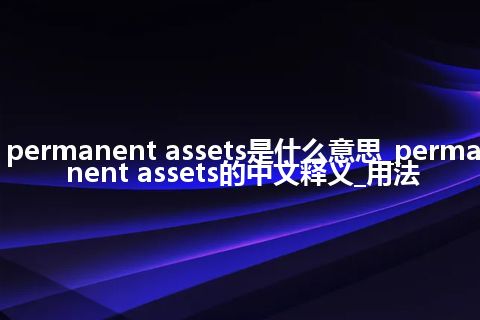permanent assets是什么意思_permanent assets的中文释义_用法