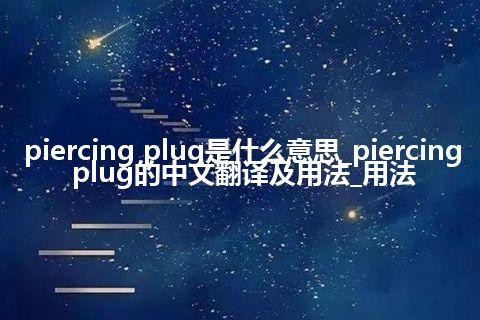 piercing plug是什么意思_piercing plug的中文翻译及用法_用法