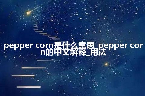 pepper corn是什么意思_pepper corn的中文解释_用法
