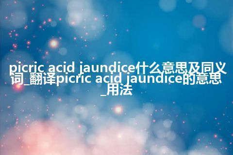 picric acid jaundice什么意思及同义词_翻译picric acid jaundice的意思_用法