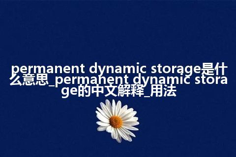 permanent dynamic storage是什么意思_permanent dynamic storage的中文解释_用法