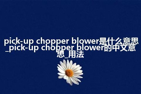 pick-up chopper blower是什么意思_pick-up chopper blower的中文意思_用法