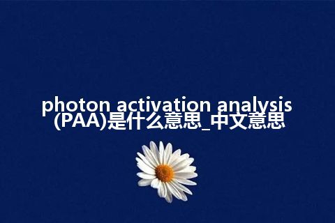 photon activation analysis (PAA)是什么意思_中文意思