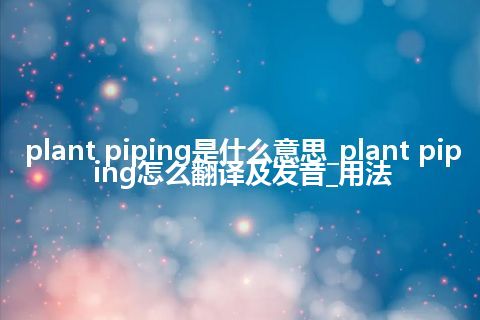 plant piping是什么意思_plant piping怎么翻译及发音_用法