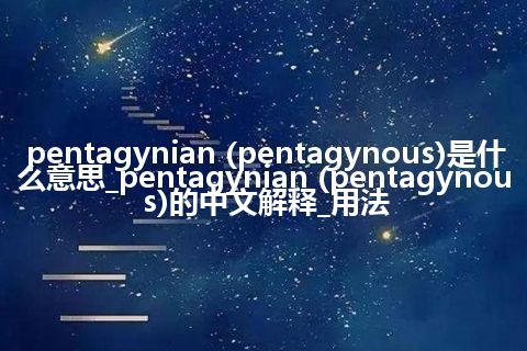 pentagynian (pentagynous)是什么意思_pentagynian (pentagynous)的中文解释_用法