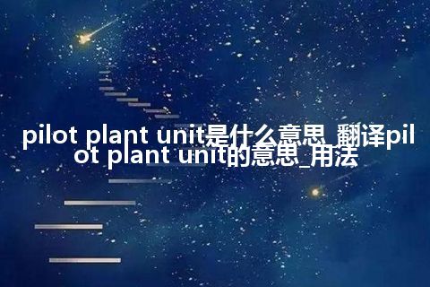 pilot plant unit是什么意思_翻译pilot plant unit的意思_用法