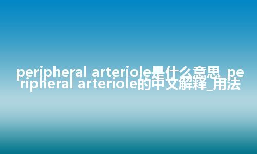 peripheral arteriole是什么意思_peripheral arteriole的中文解释_用法