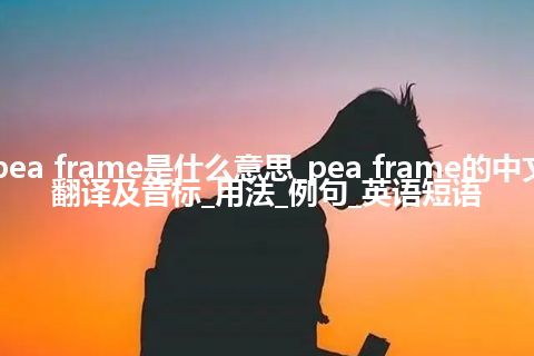 pea frame是什么意思_pea frame的中文翻译及音标_用法_例句_英语短语