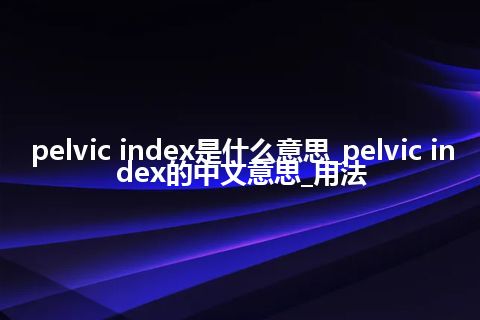 pelvic index是什么意思_pelvic index的中文意思_用法