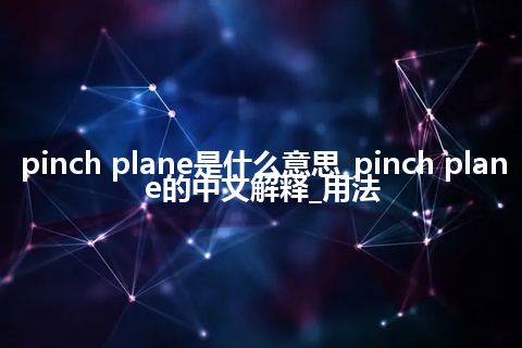 pinch plane是什么意思_pinch plane的中文解释_用法
