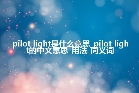 pilot light是什么意思_pilot light的中文意思_用法_同义词