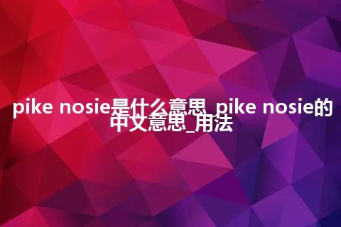 pike nosie是什么意思_pike nosie的中文意思_用法