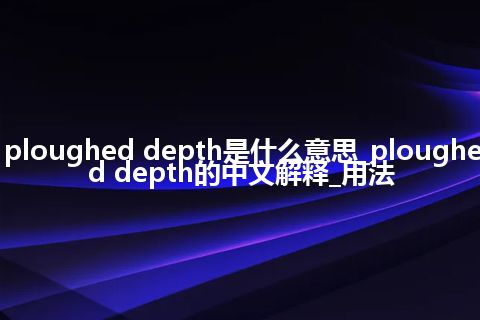 ploughed depth是什么意思_ploughed depth的中文解释_用法