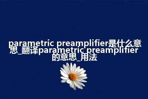 parametric preamplifier是什么意思_翻译parametric preamplifier的意思_用法