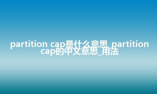 partition cap是什么意思_partition cap的中文意思_用法