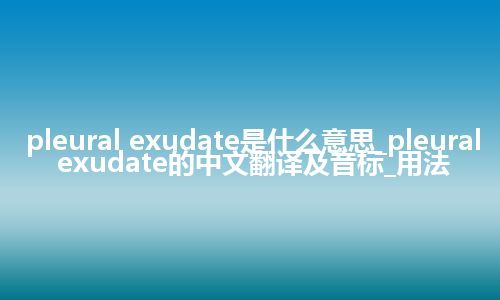 pleural exudate是什么意思_pleural exudate的中文翻译及音标_用法
