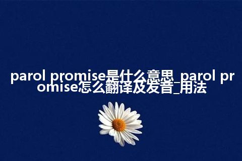 parol promise是什么意思_parol promise怎么翻译及发音_用法