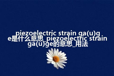 piezoelectric strain ga(u)ge是什么意思_piezoelectric strain ga(u)ge的意思_用法