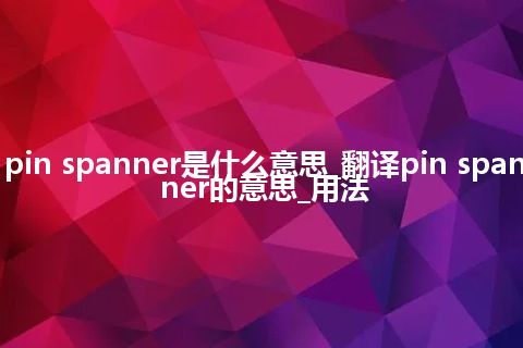 pin spanner是什么意思_翻译pin spanner的意思_用法
