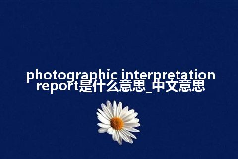 photographic interpretation report是什么意思_中文意思