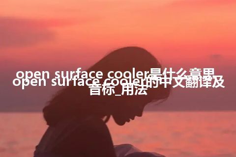 open surface cooler是什么意思_open surface cooler的中文翻译及音标_用法