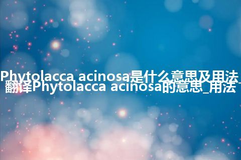Phytolacca acinosa是什么意思及用法_翻译Phytolacca acinosa的意思_用法