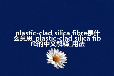 plastic-clad silica fibre是什么意思_plastic-clad silica fibre的中文解释_用法