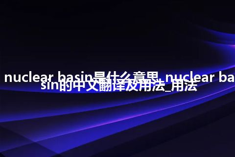 nuclear basin是什么意思_nuclear basin的中文翻译及用法_用法