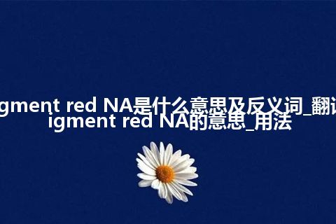 pigment red NA是什么意思及反义词_翻译pigment red NA的意思_用法