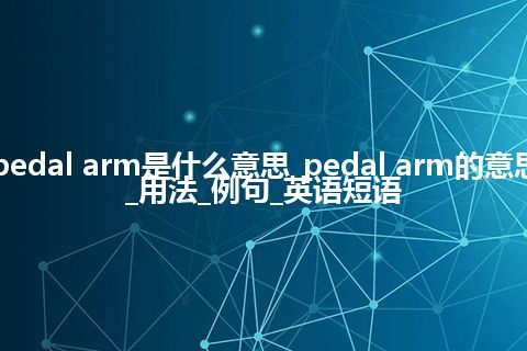 pedal arm是什么意思_pedal arm的意思_用法_例句_英语短语