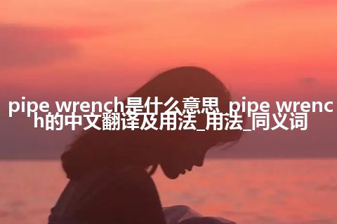 pipe wrench是什么意思_pipe wrench的中文翻译及用法_用法_同义词