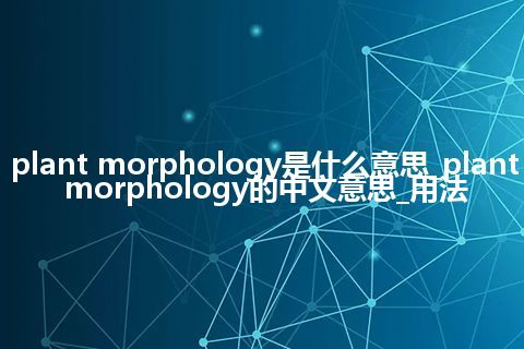 plant morphology是什么意思_plant morphology的中文意思_用法