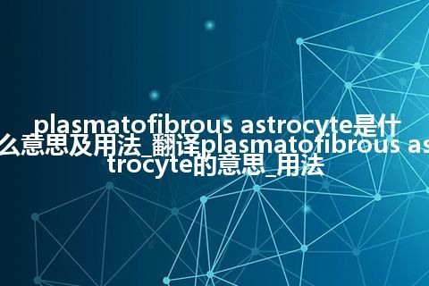 plasmatofibrous astrocyte是什么意思及用法_翻译plasmatofibrous astrocyte的意思_用法