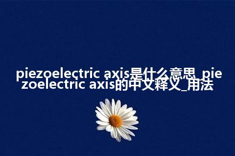 piezoelectric axis是什么意思_piezoelectric axis的中文释义_用法