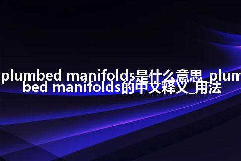 plumbed manifolds是什么意思_plumbed manifolds的中文释义_用法