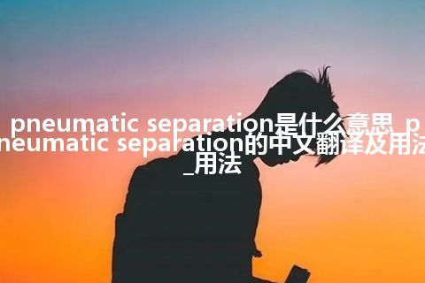 pneumatic separation是什么意思_pneumatic separation的中文翻译及用法_用法