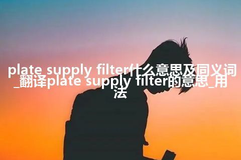 plate supply filter什么意思及同义词_翻译plate supply filter的意思_用法