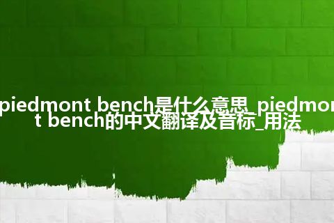 piedmont bench是什么意思_piedmont bench的中文翻译及音标_用法