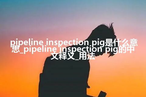 pipeline inspection pig是什么意思_pipeline inspection pig的中文释义_用法