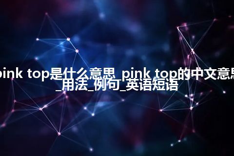 pink top是什么意思_pink top的中文意思_用法_例句_英语短语